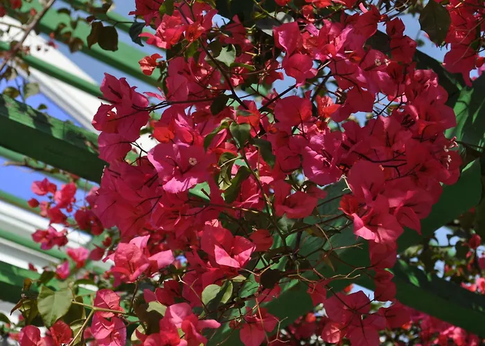 Garden Aparthotel Symi