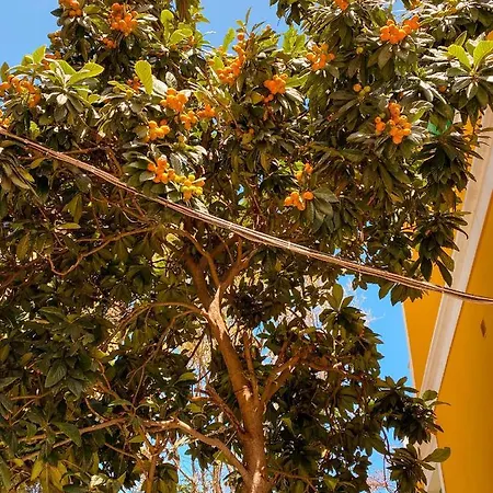 Aparthotel Garden Symi