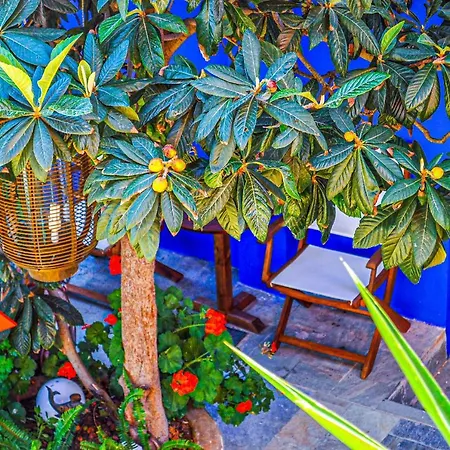 Garden Symi