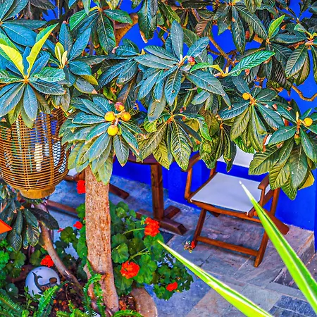 Garden Aparthotel