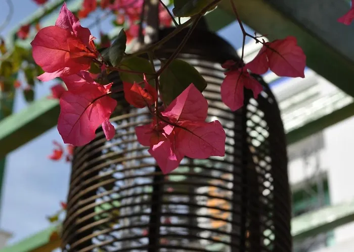 ενοικιαζόμενα Garden